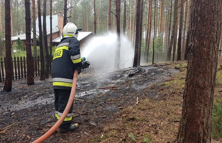Płonął las w Zambskach Kościelnych - strażacy opanowali ogień